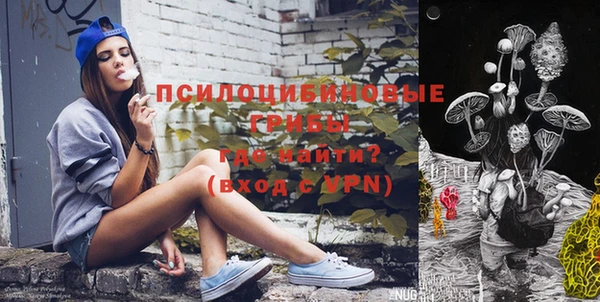 apvp Карпинск