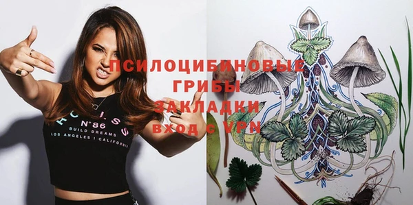 apvp Карпинск