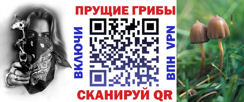 Галлюциногенные грибы GOLDEN TEACHER  Купить закладки  Балахна 